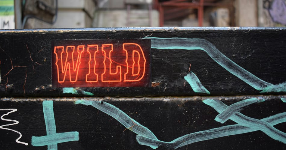 A red neon sign reading 'WILD' mounted on a black, weathered surface with teal blue painted arrows and graffiti marks around it.